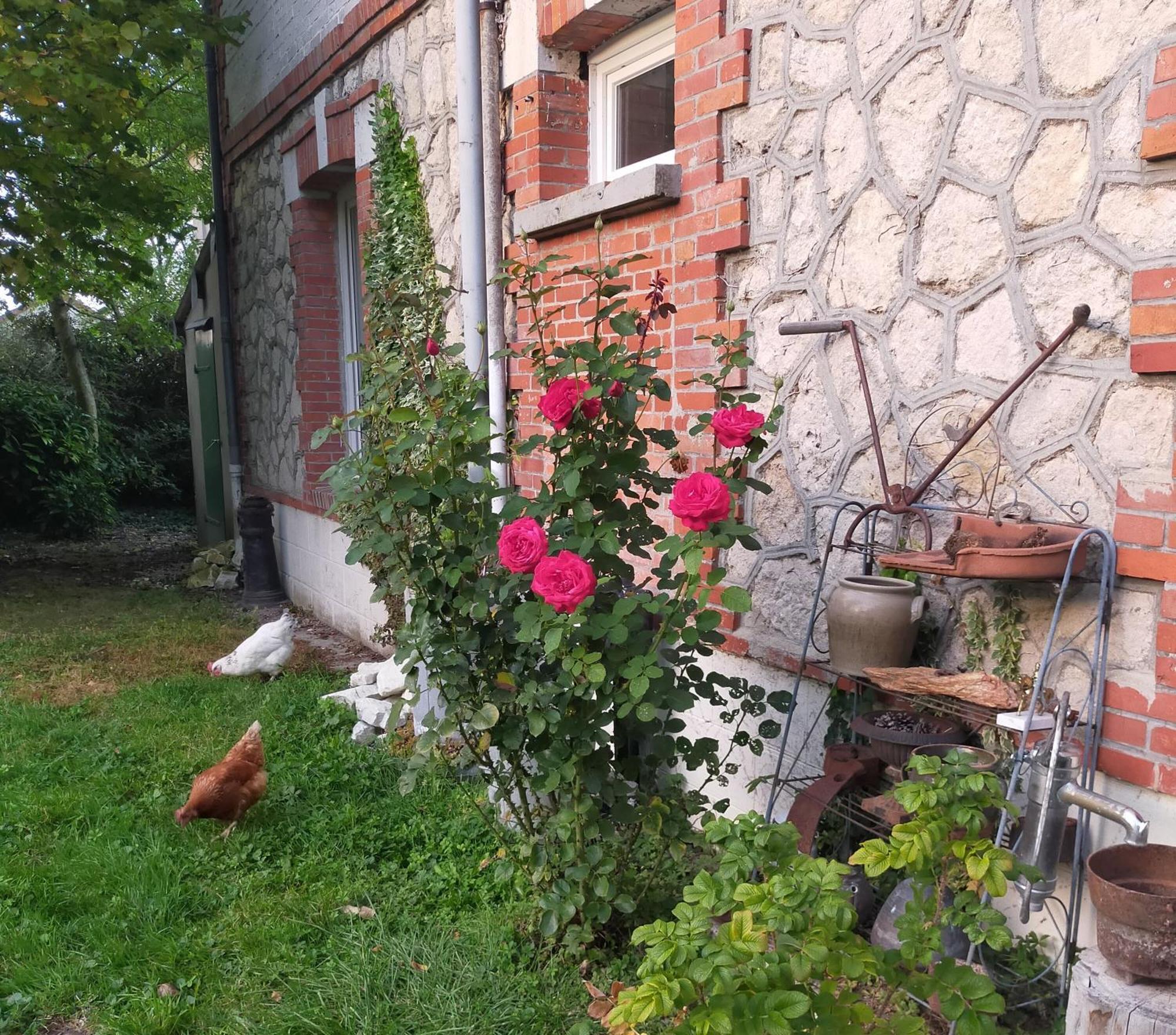 Apartamento Logis51 Ville-sur-Tourbe Exterior foto
